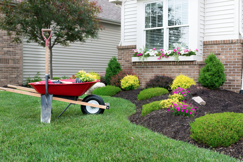 Things to Consider Before Starting to Landscape